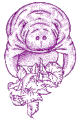 Manatee by She Fay